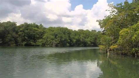 rio hondo log in.